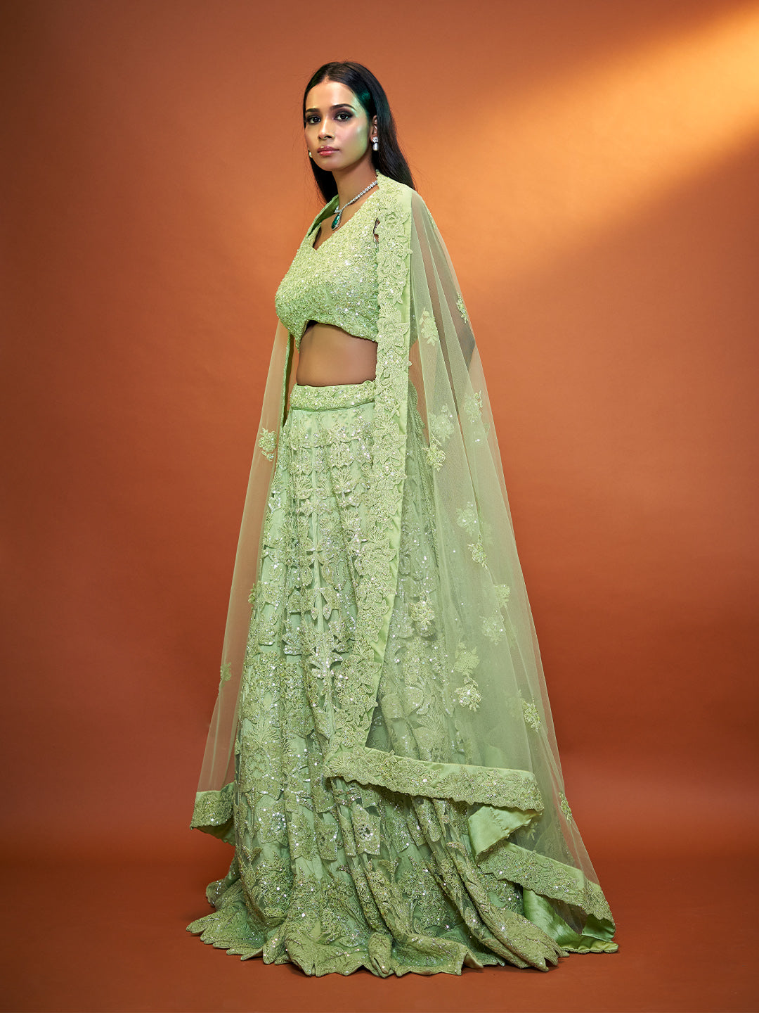 Green Net Lehenga