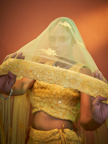 Yellow Net Lehenga