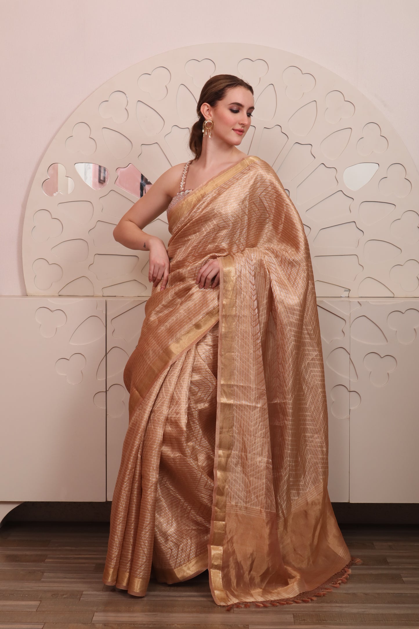 Brown Organza Saree with Blouse Set