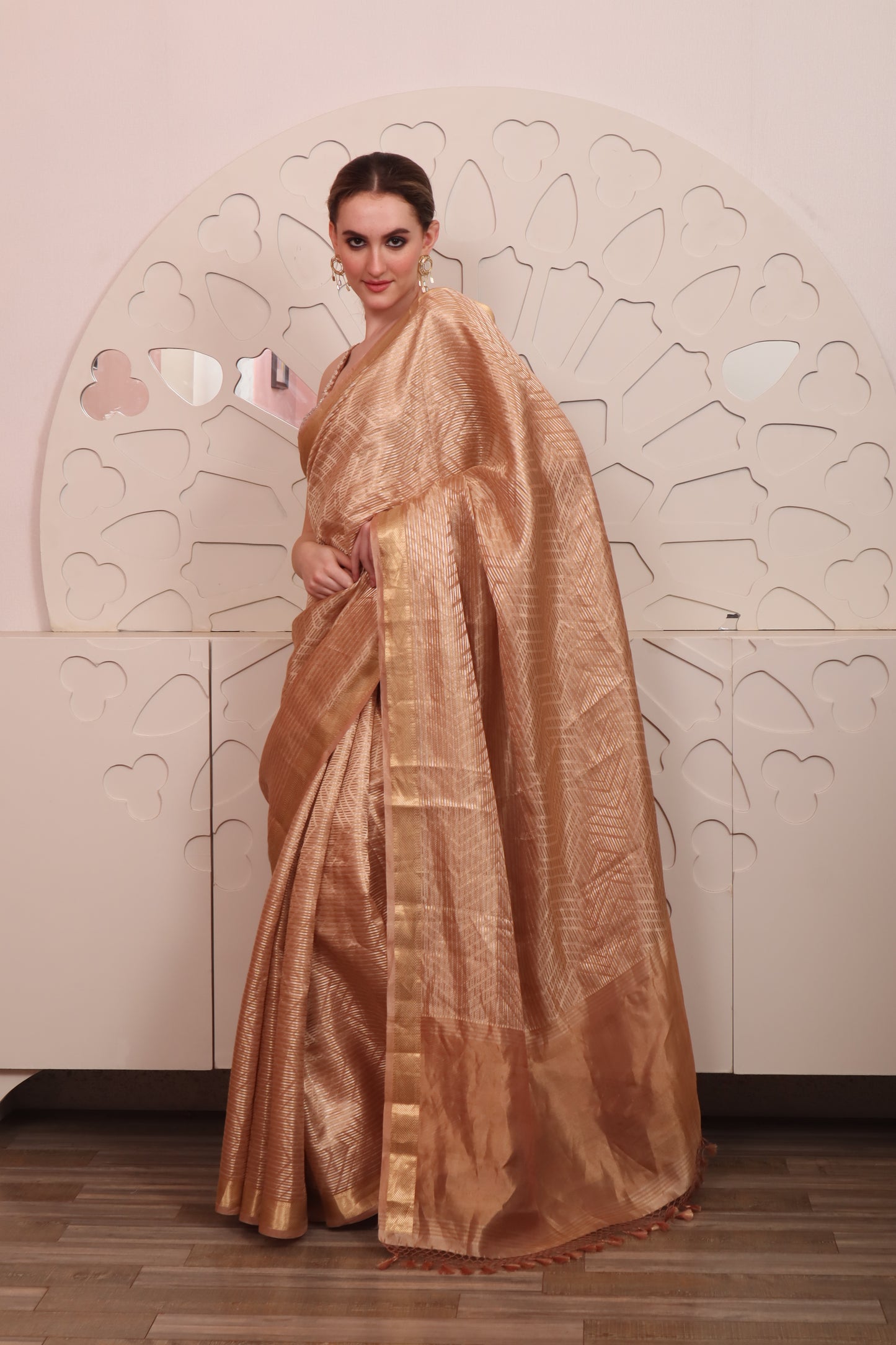 Brown Organza Saree with Blouse Set