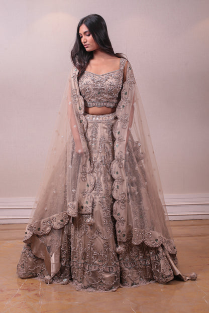 Designer Beige Net Embedded With Satin Lehenga