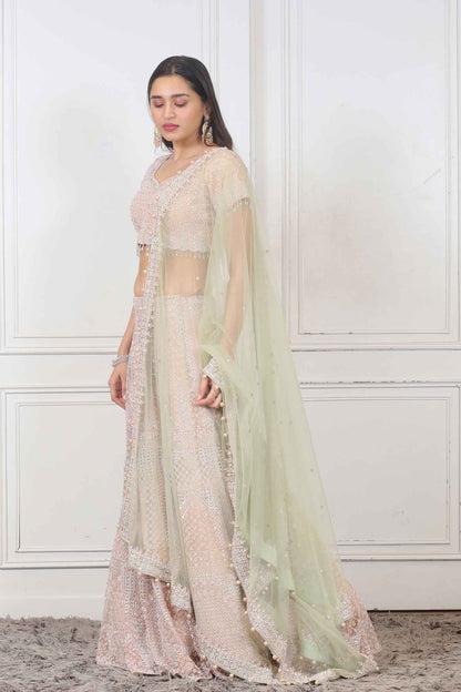 Wedding Lehenga in Light Peach  color at online Simaaya