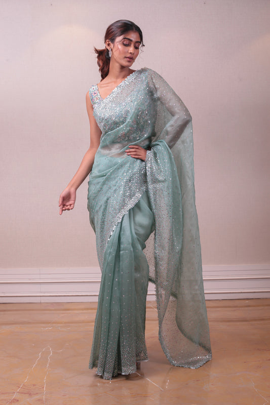 Designer Blue Sequins embodied on organza Saree