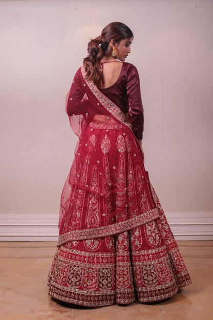 Designer Red  Raw Silk Net Embedded Lehenga